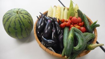 6月の野菜画像